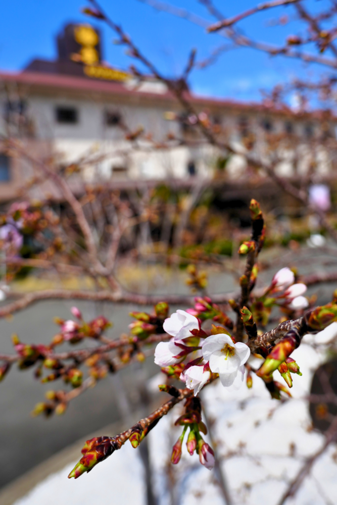 白浜・温泉リゾート海岳